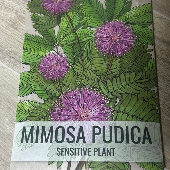 Vintage Newcor Countryside Stoneware Planter Kit - Picture 11 of 11